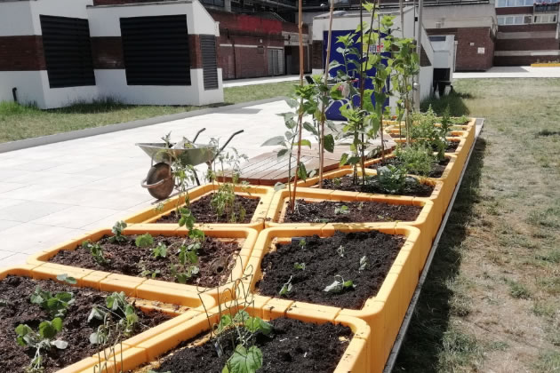 The Livat community garden in Hammersmith 