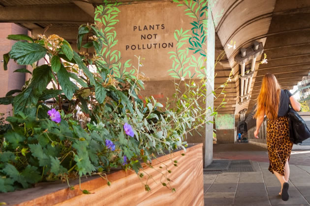 Hammersmith BID funded 'Plants Not Pollution' under Hammersmith Flyover