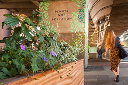 Hammersmith BID Marks 20 Years with Review 