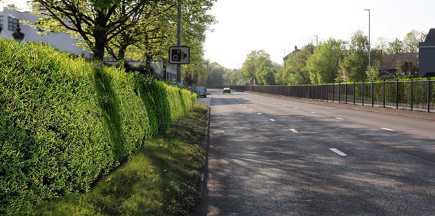 visualisation of the Green Hedge