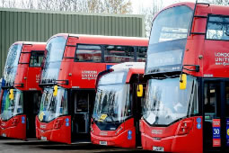 Back-to-school Chaos Looms Due to Bus Strike